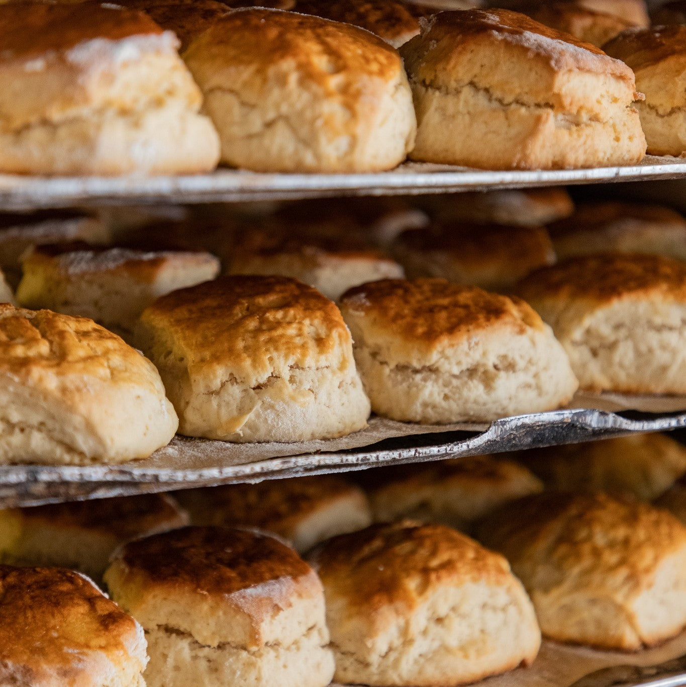 All Butter Scones